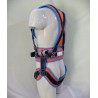 Sahas Rocket Ejector Harness with QR Buckle