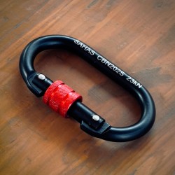 Sahas Steel Screw Lock Carabiner (Black)