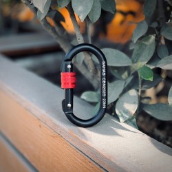 Sahas Steel Screw Lock Carabiner (Black)