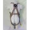 Sahas Full Body Harness 4500 |  SAHAS
