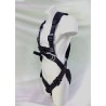 Sahas Infrato Full Body Harness 9100 | SAHAS